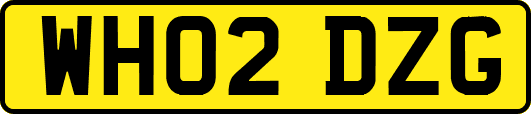 WH02DZG