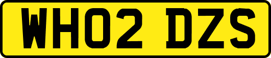 WH02DZS