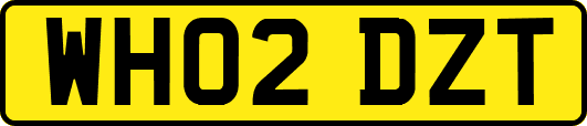 WH02DZT