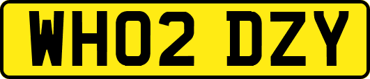 WH02DZY