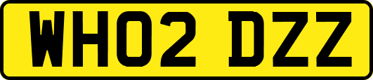 WH02DZZ