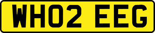 WH02EEG