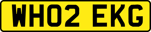 WH02EKG
