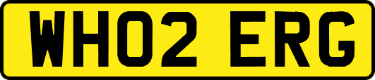 WH02ERG