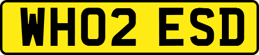 WH02ESD