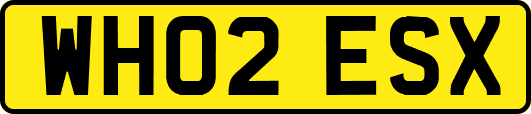 WH02ESX