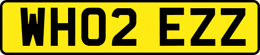 WH02EZZ
