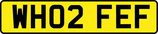 WH02FEF