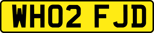 WH02FJD