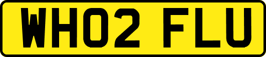 WH02FLU