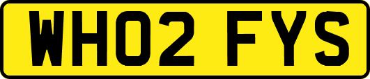 WH02FYS