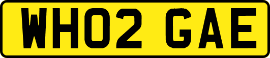 WH02GAE