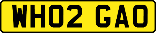 WH02GAO