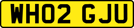WH02GJU