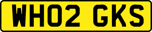 WH02GKS