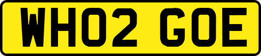 WH02GOE