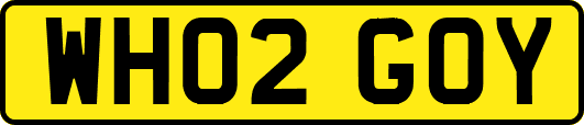 WH02GOY