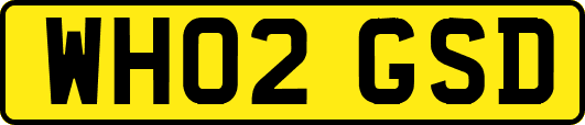 WH02GSD
