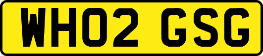WH02GSG
