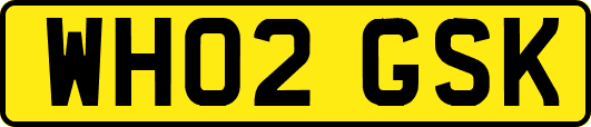 WH02GSK