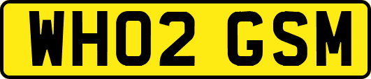 WH02GSM