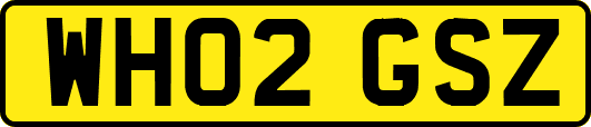 WH02GSZ