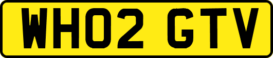 WH02GTV
