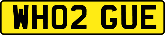 WH02GUE