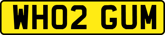WH02GUM
