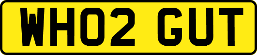 WH02GUT