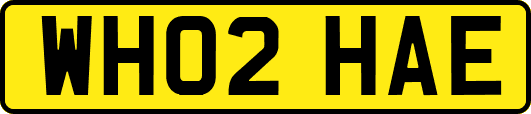 WH02HAE