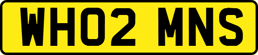 WH02MNS