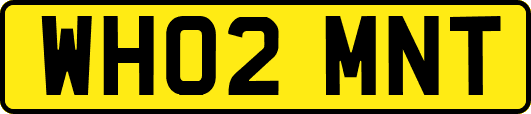 WH02MNT