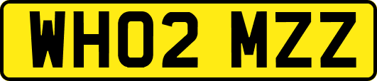 WH02MZZ