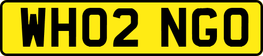 WH02NGO