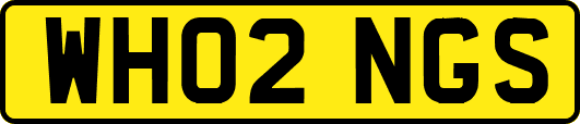 WH02NGS