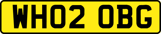 WH02OBG