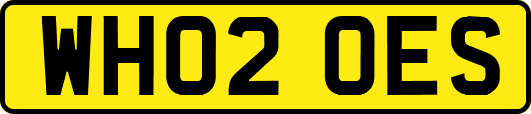 WH02OES