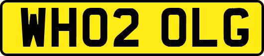 WH02OLG