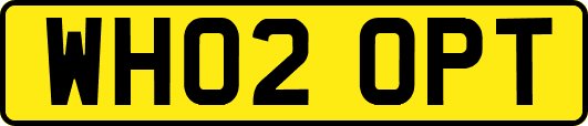 WH02OPT