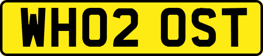WH02OST