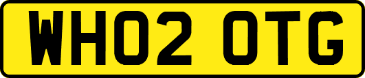 WH02OTG
