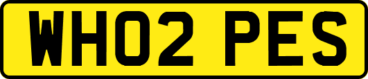 WH02PES