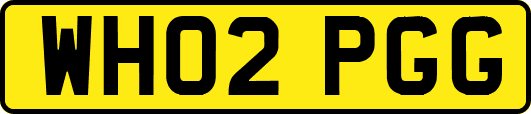 WH02PGG