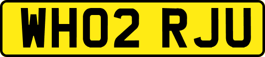 WH02RJU