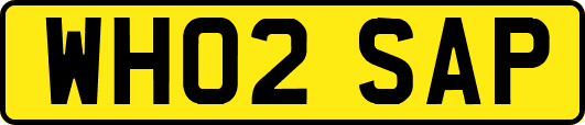 WH02SAP