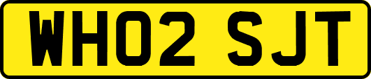WH02SJT