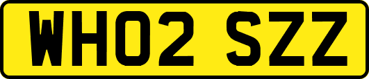 WH02SZZ