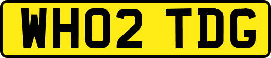 WH02TDG