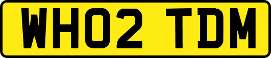WH02TDM